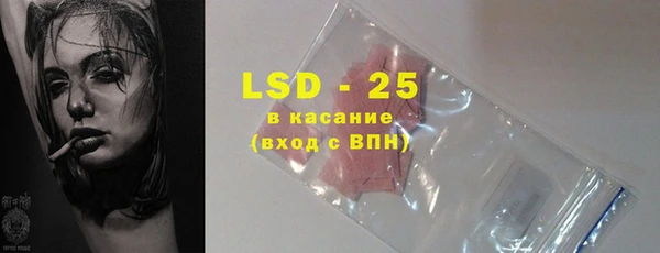 гашик Нея