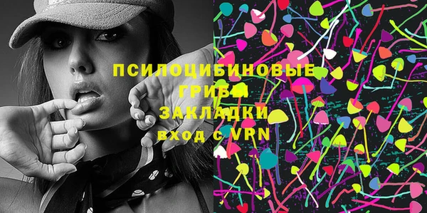 гашик Нея
