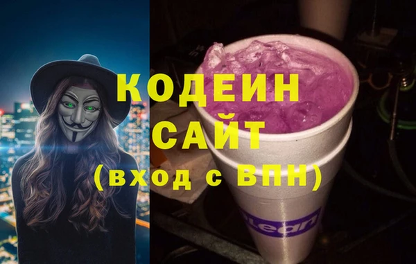 гашик Нея