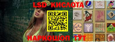 амф Кингисепп