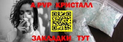 амф Кингисепп