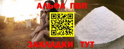 амф Кингисепп