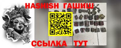 амф Кингисепп