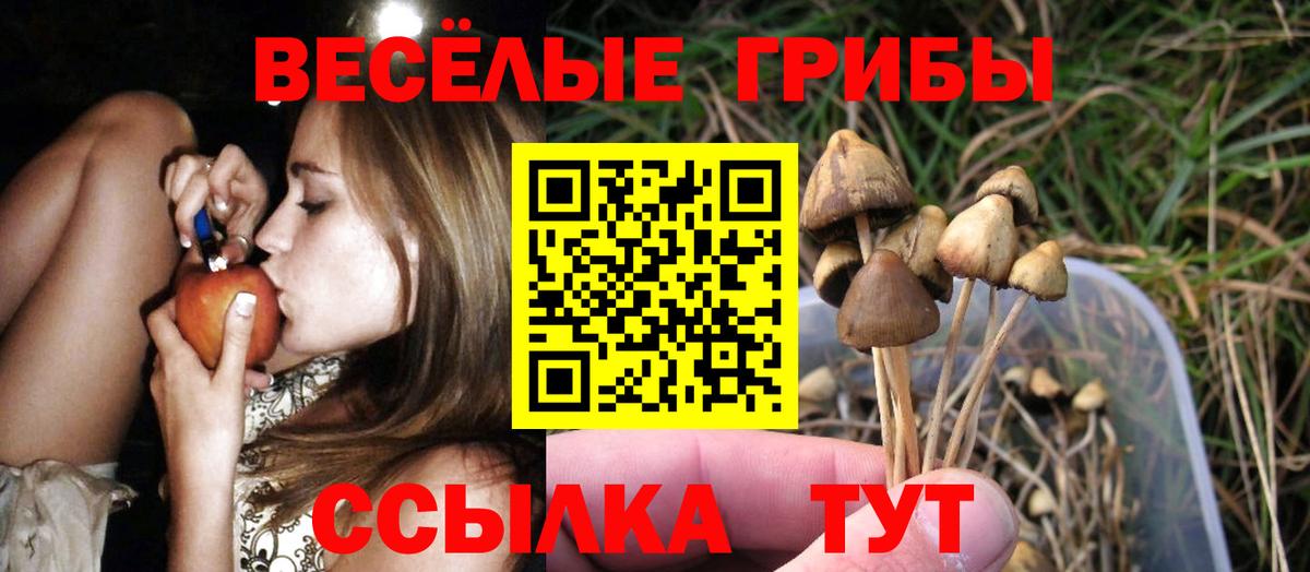Галлюциногенные грибы GOLDEN TEACHER  Вход с VPN  Севастополь 